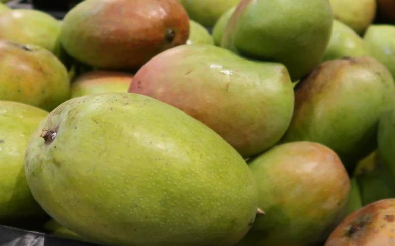 boost-for-farmers-as-state-seeks-to-expand-mango-processing-plant